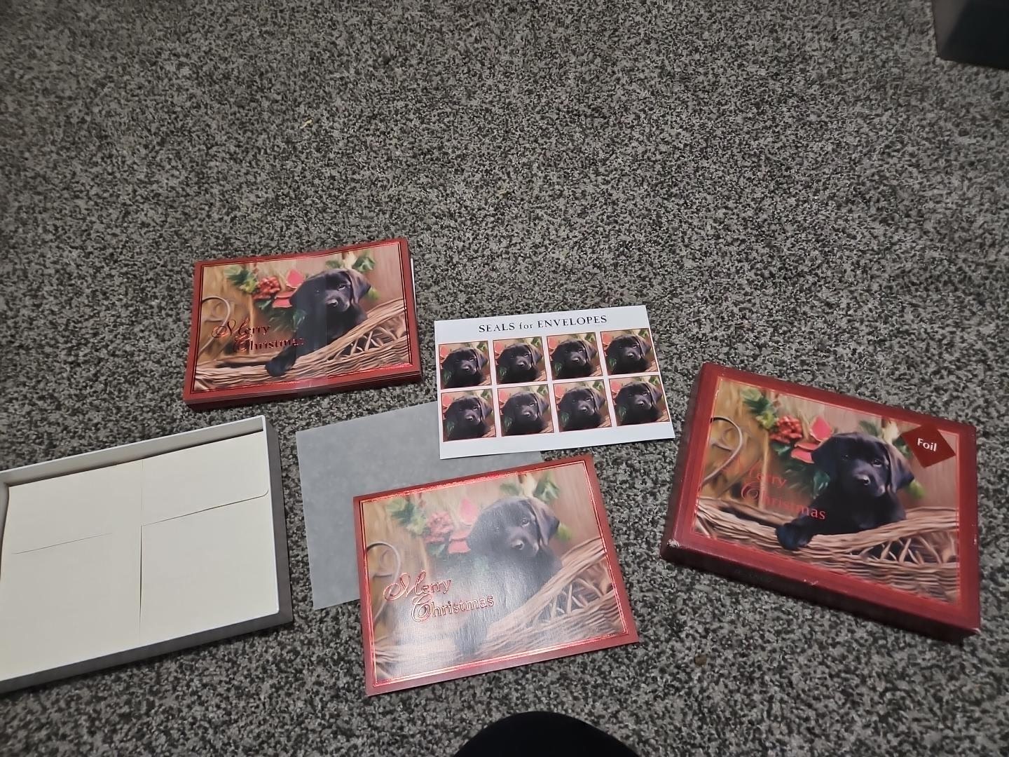 Black Labrador Puppy Christmas  Cards Set Of 16 2 Boxes