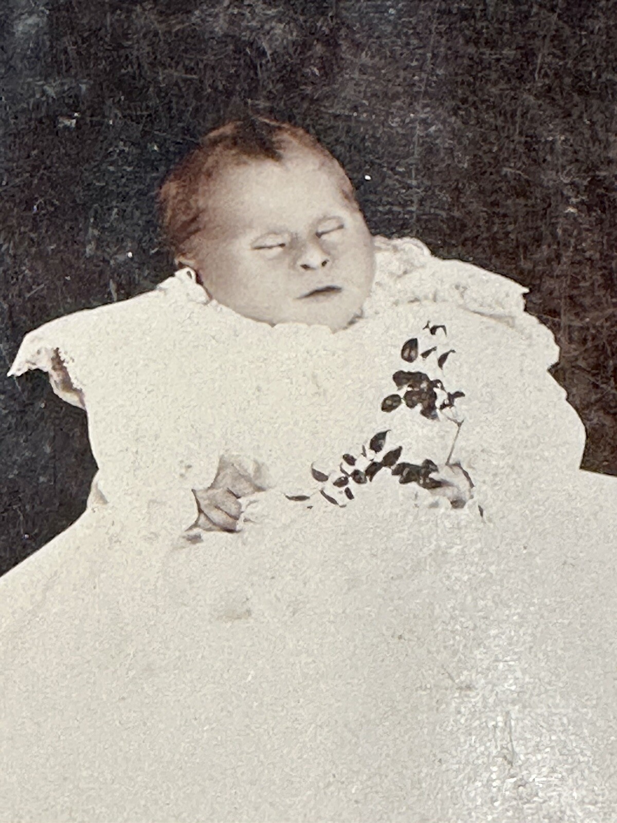Photo of Post Mortem Baby With Flowers, Minnesota 1800s Cabinet Card