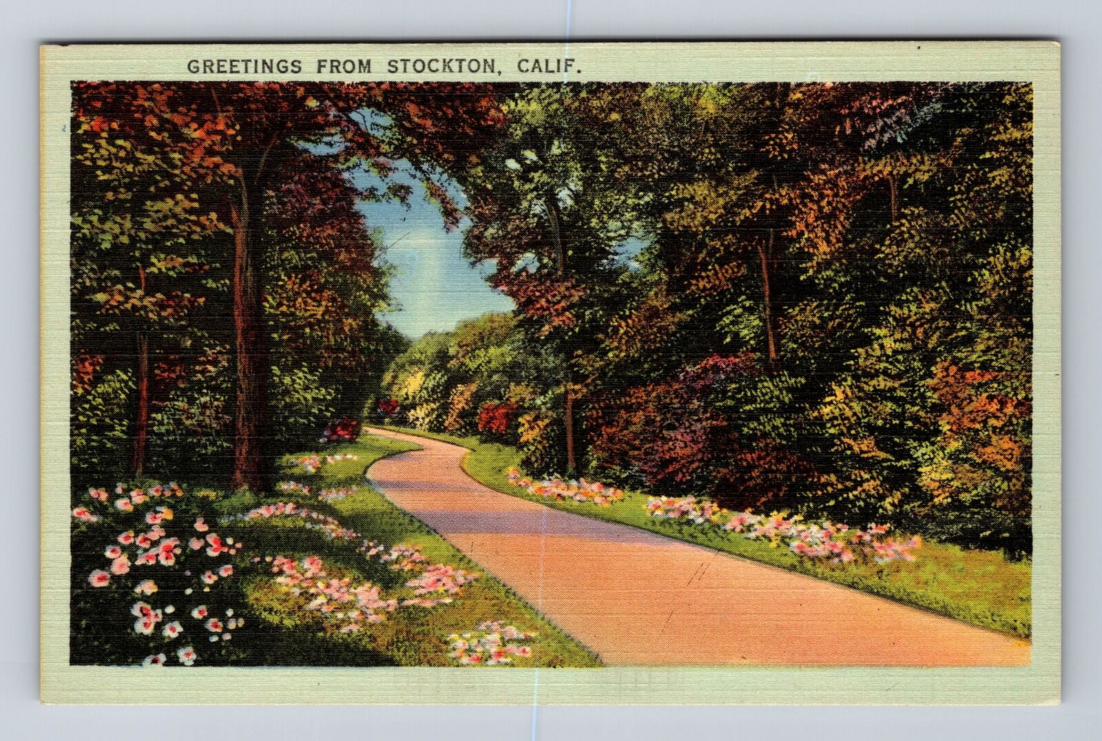 Stockton CA-California, Scenic General Greetings, Antique, Vintage Postcard