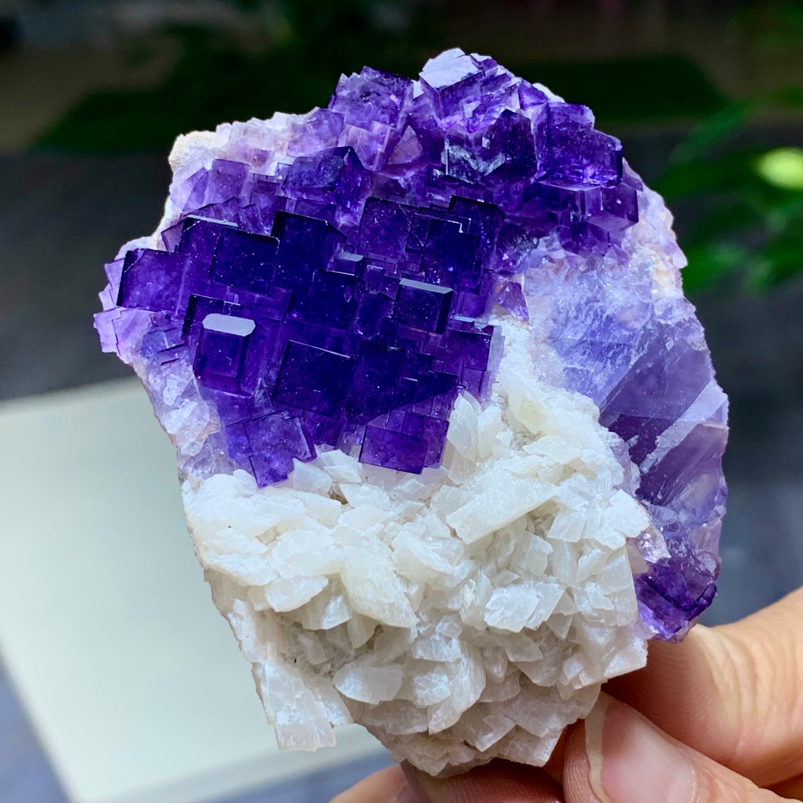 198G Natural Rare transparent purple cubic fluorite mineral crystal /China