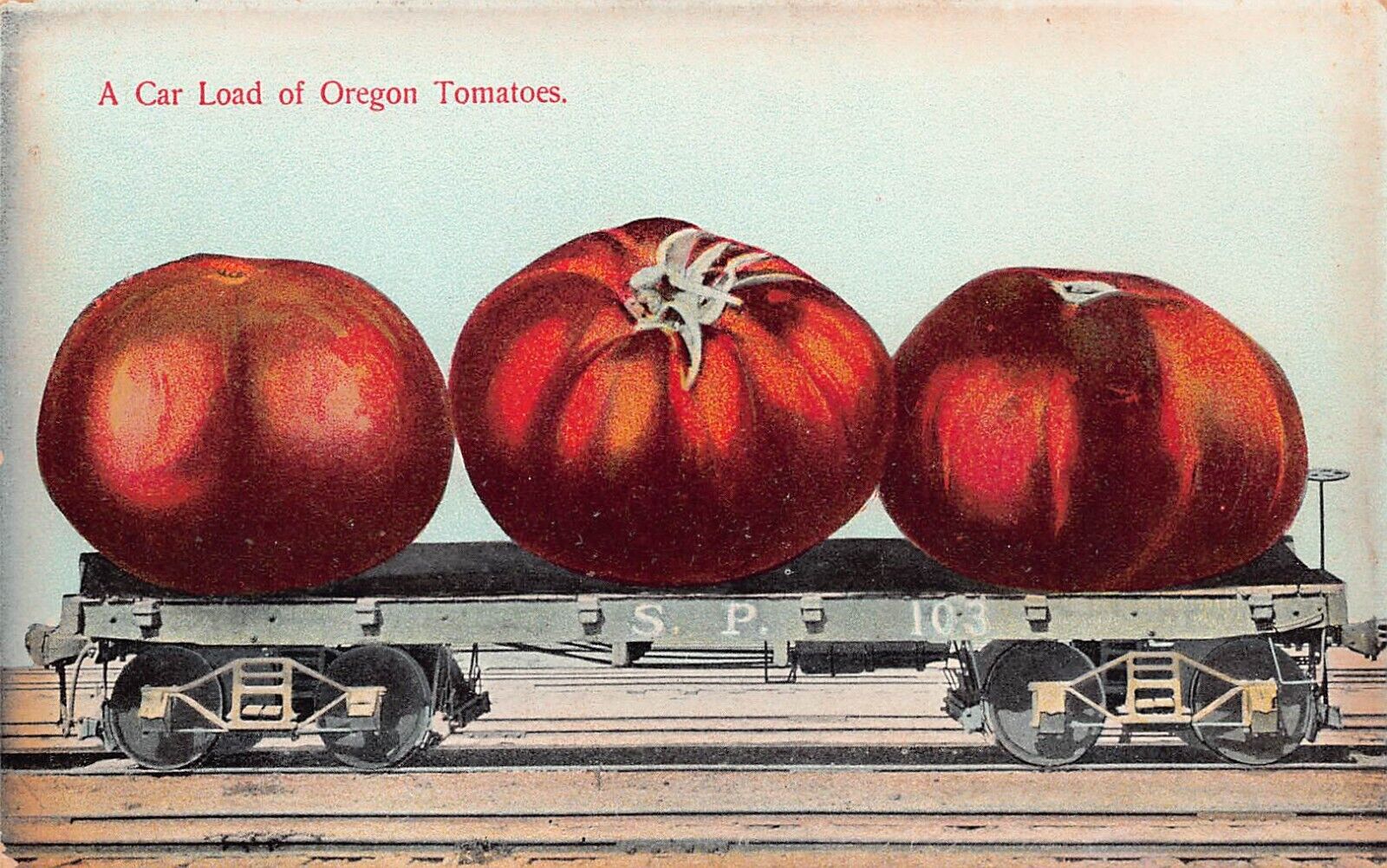 Exaggeration Train Railroad Oregon Tomatoes Southern Pacific Vtg Postcard A64