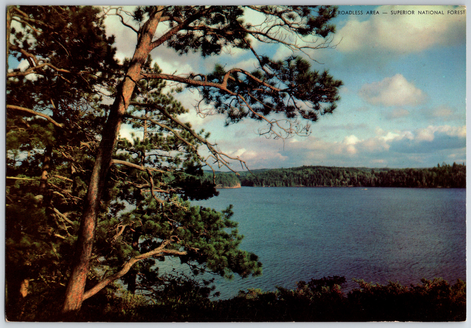 c1960s Superior National Forest Minnesota 10\