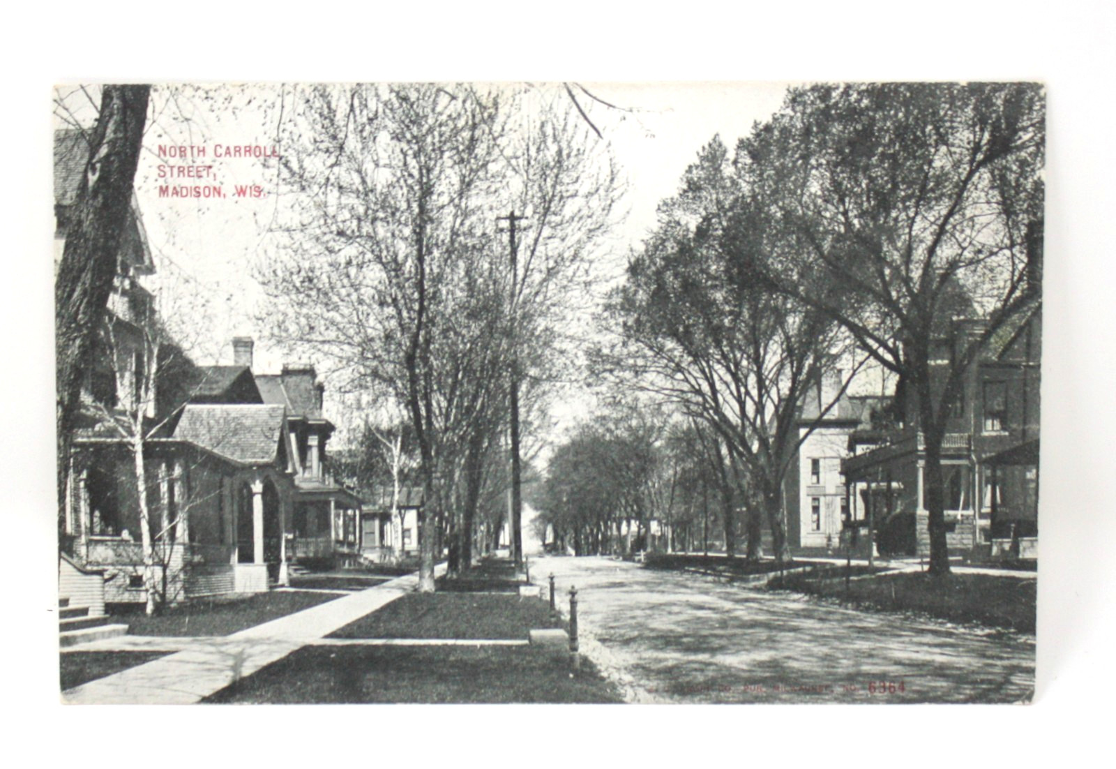 Postcard Madison WI North Carroll Street Residential View Historic Houses Old