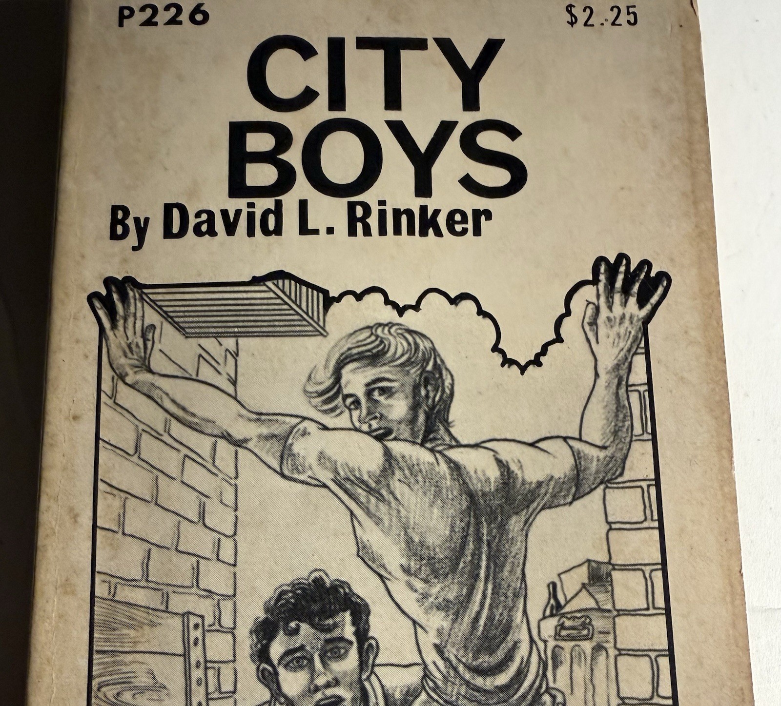 CITY BOYSQ -1972 DAVID L RINKER - PARISIAN PRESS VINTAGE PULP NOVEL GAY INTEREST