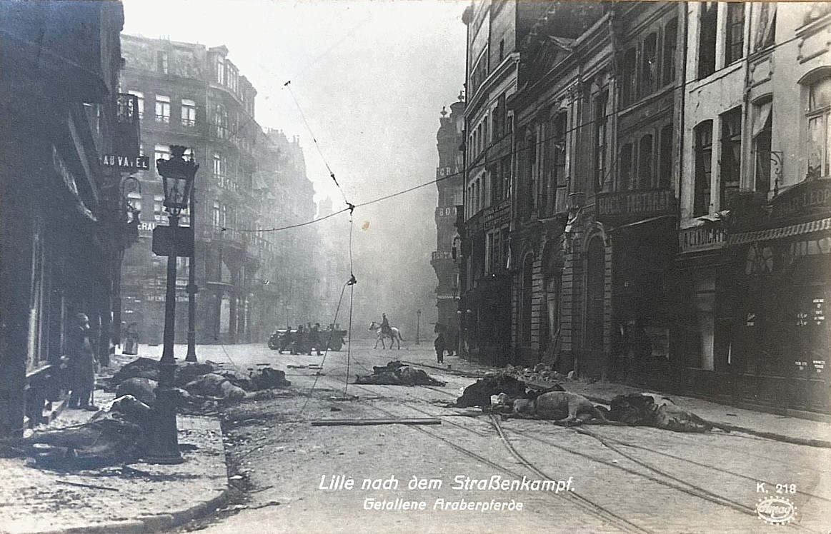 RARE WW1 GERMAN LILLE FR. STR. FIGHT BOMBED ARABIAN HORSES 1914 PHOTO POSTCARD