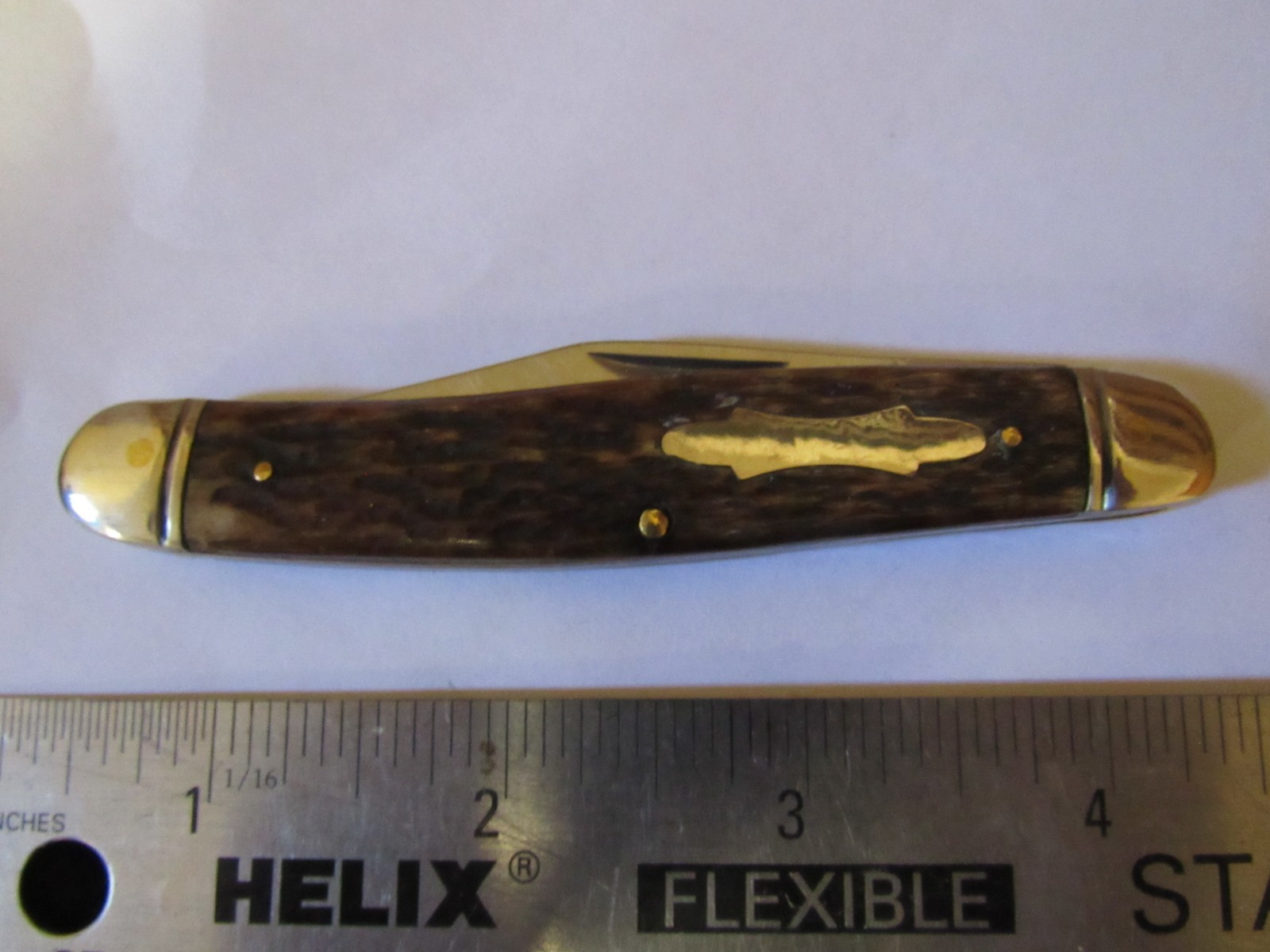 Custom Single Blade Bone Back Pocket Knife