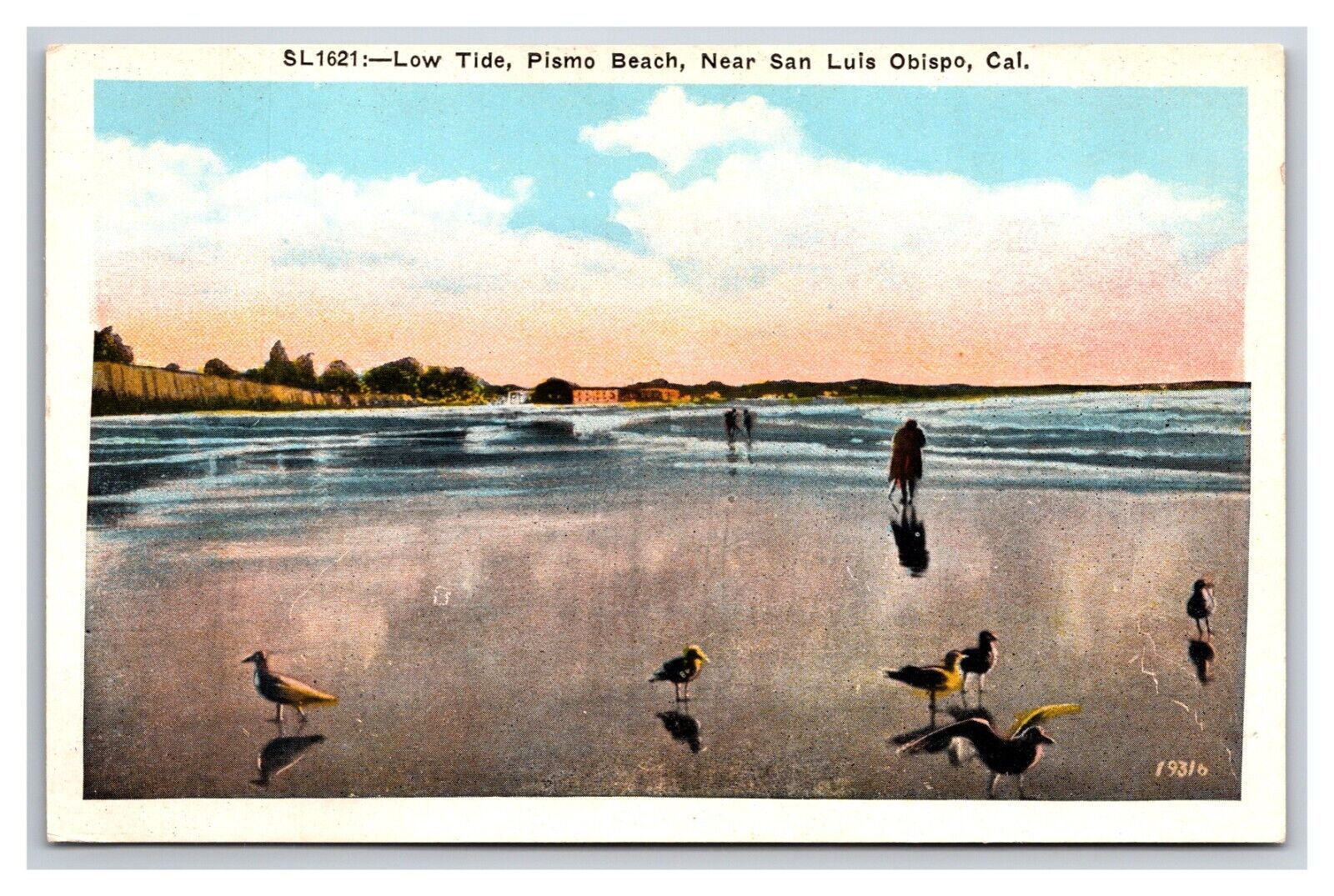 Pismo Beach Low Tide San Luis Obispo CA California UNP WB Postcard R29