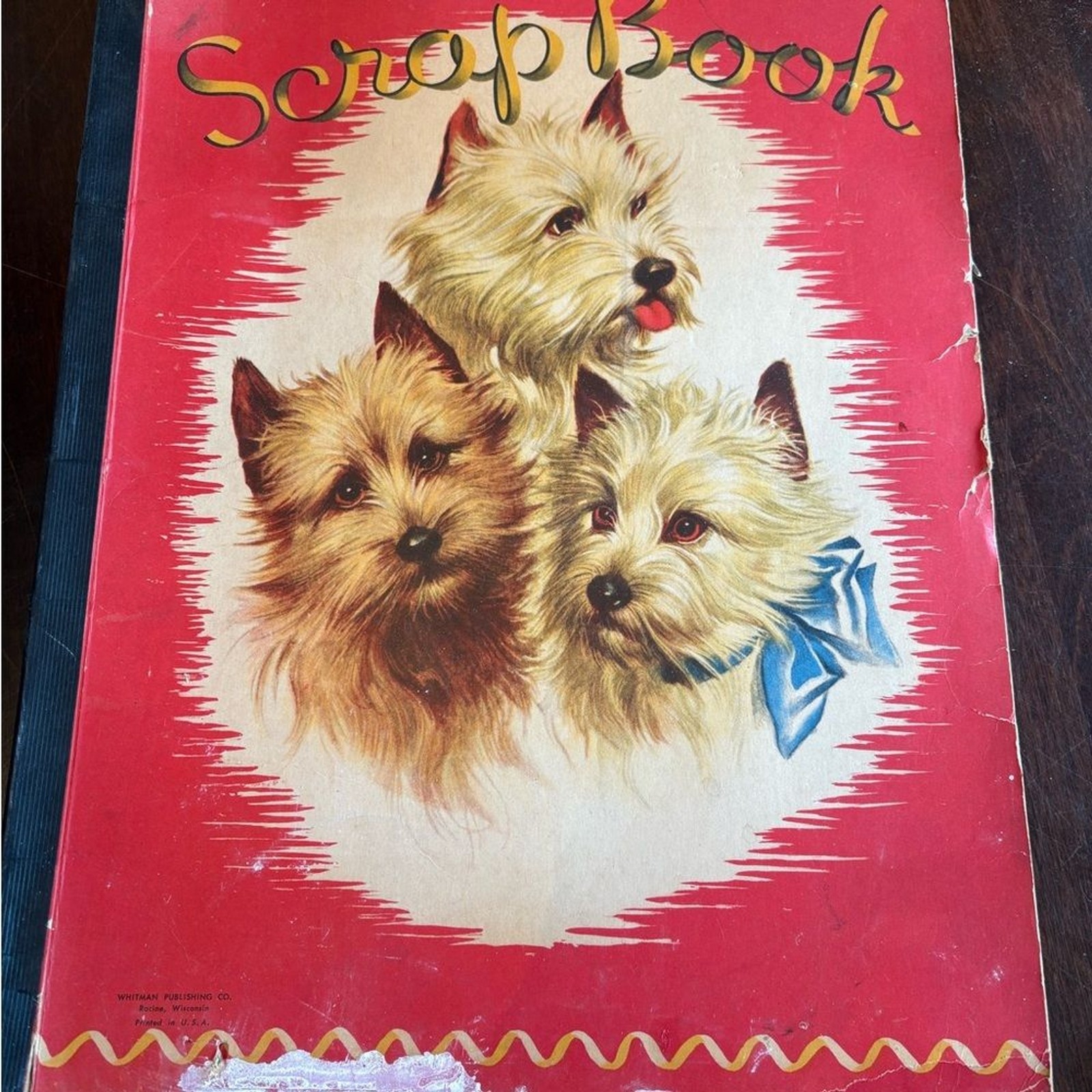 Vintage Dog Scrapbook with Valentines 15x11in
