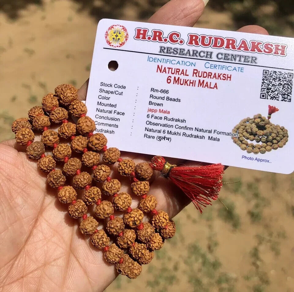 LAB CERTIFIED Rare 6 Mukhi RUDRAKSHA Rudraksh Mala ROSARY 108+1 Prayer Beads