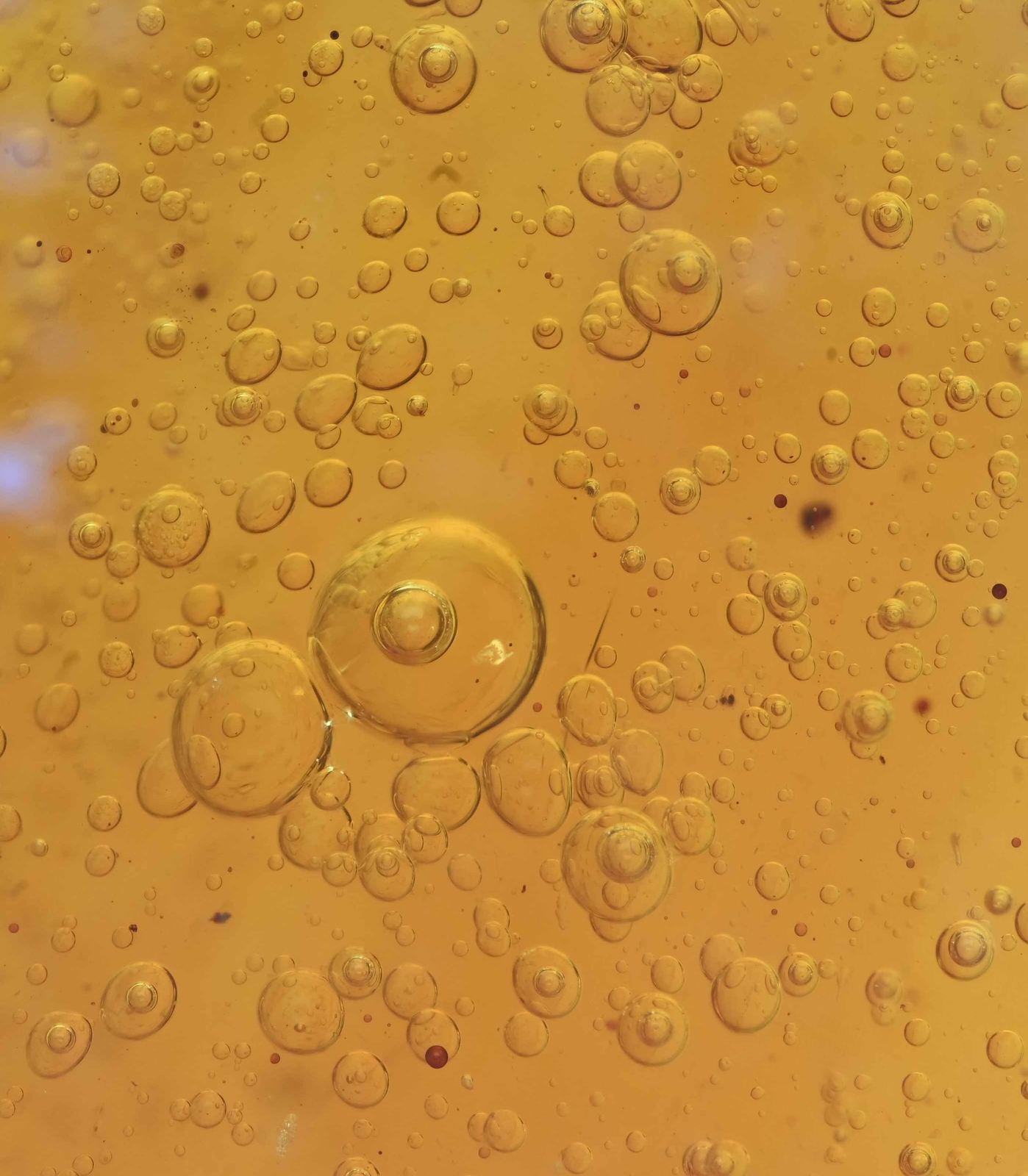 Movable Enhydro (Water Bubble), Fossil Inclusion in Dominican Amber