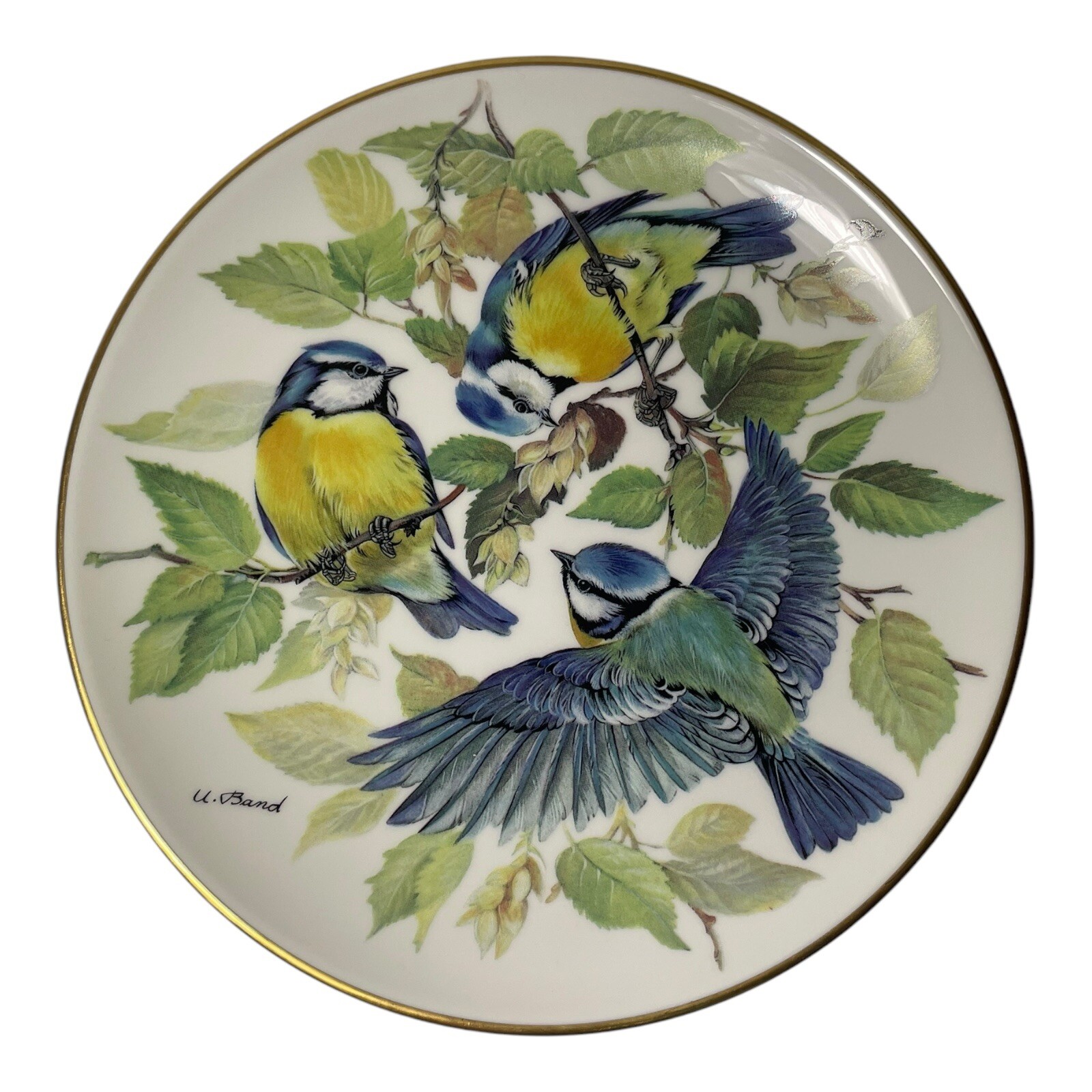 1985 Blaumeise Blue Titmouse Plate Song Birds Europaische Singvogel Germany NEW