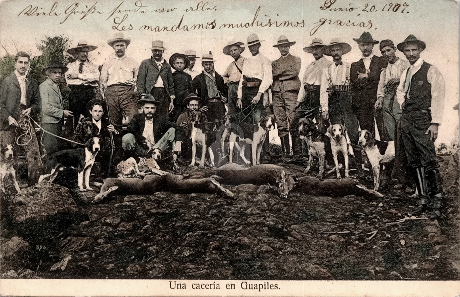 1907 Costa Rica Hunting Guapiles Deer Hounds RPPC Photo Postcard COPY 1907 Costa Rica Hunting Guapiles Deer Hounds RPPC Photo Postcard COPY
