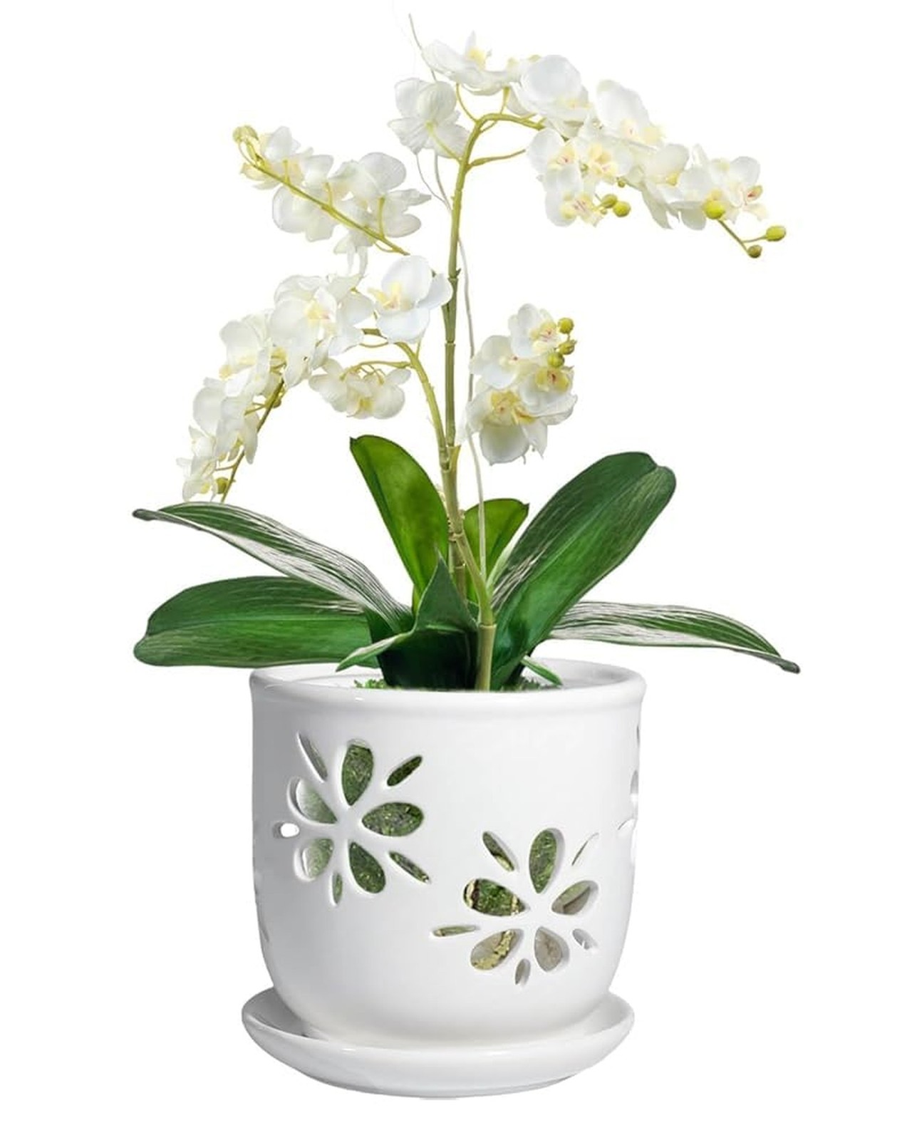 1 Pack 6 Inch White Ceramic Orchid Pot with Holes and Saucer | White Ceramic ...