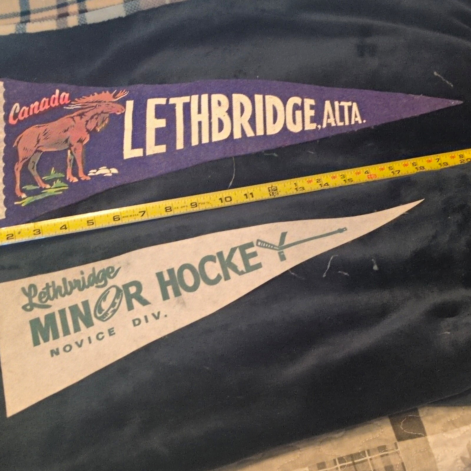 Canada Lethbridge Alta. Souvenir Felt Pennant Flag w/ Maple Leaf Wildlife