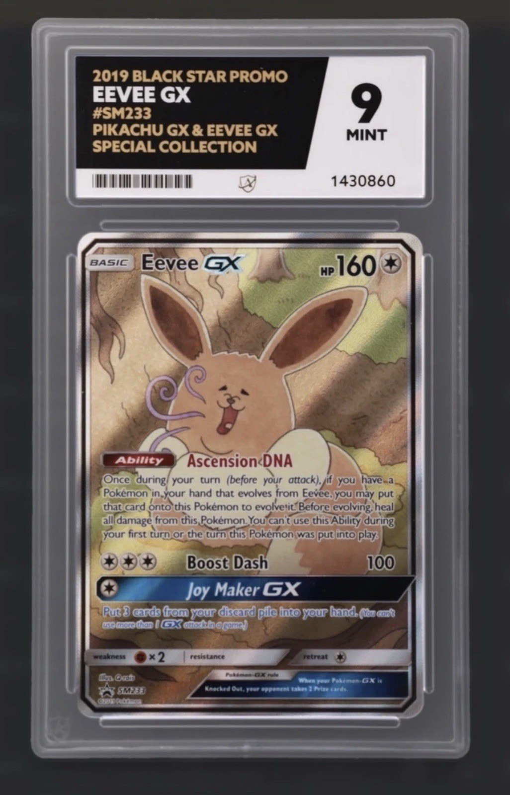 ACE 9 EEVEE GX 2019 Black Star Promo #SM233 Pikachu GX & EEVEE GX Pokemon Card