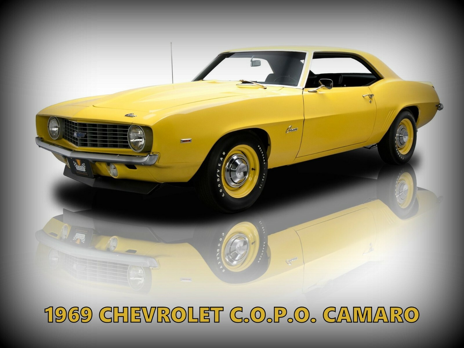 1969 Chevrolet C.O.P.O. Camaro NEW Metal Sign: Pristine Vintage Look Resto
