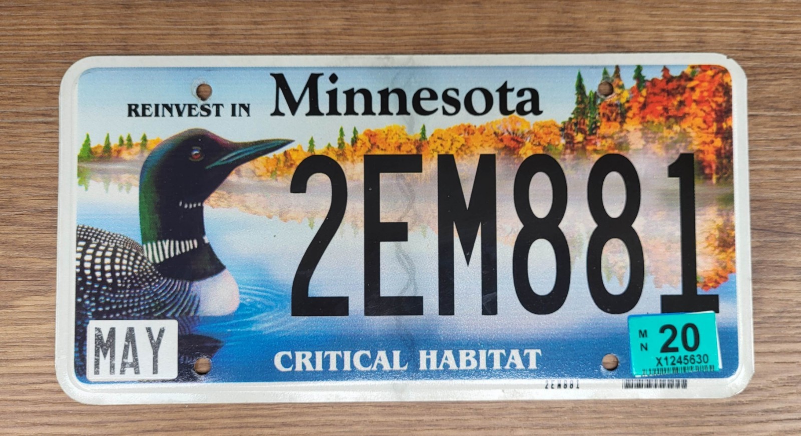 2020 Minnesota Critical Habitat LOON License Plate Tag  #2EM881   Wildlife