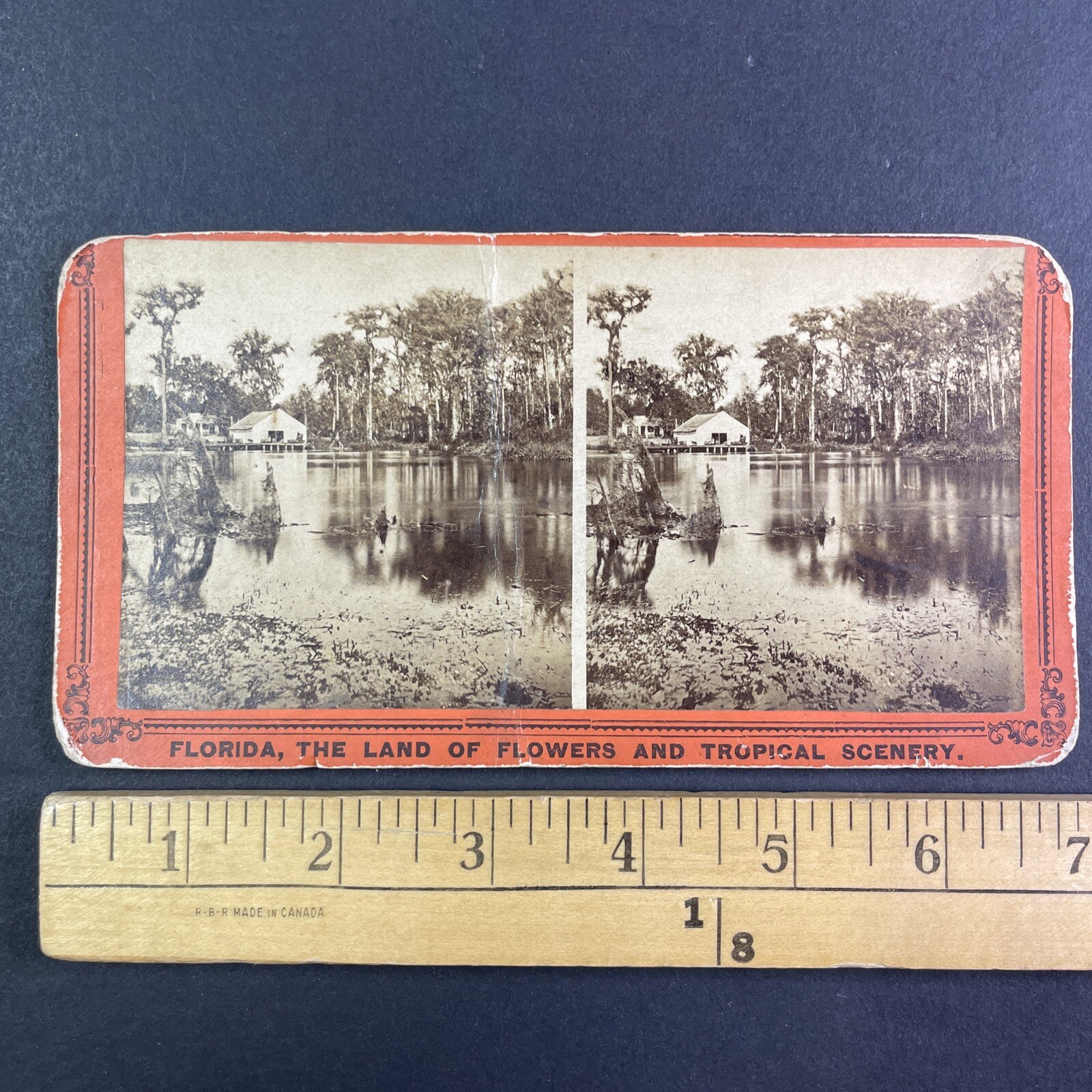 Silver Springs Ocklawaha River Florida Stereoview 1870s Tropical Scenery