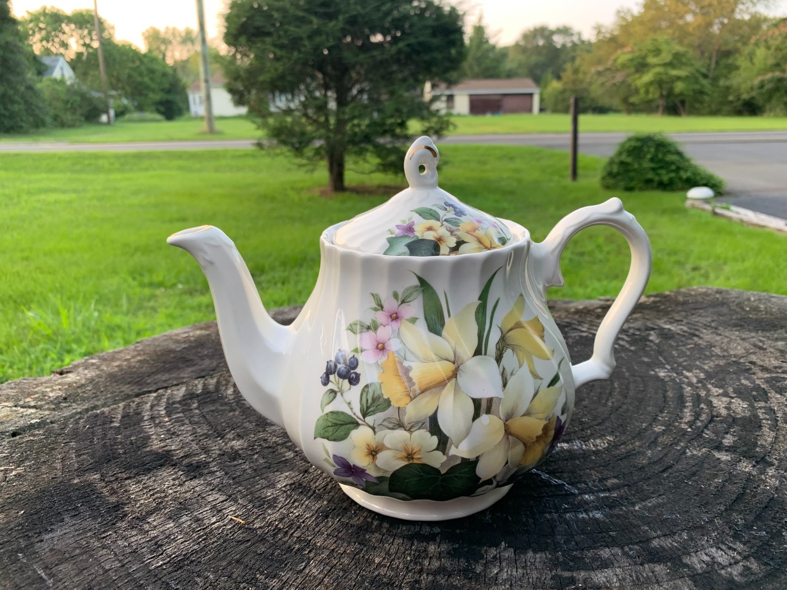 Sadler? Windsor Daffodil Teapot & Lid Curved Paneled Floral Gold Trim EXC COND