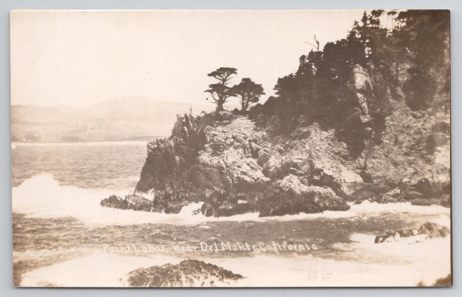 Point Lobos California RPPC Real Photo Postcard Ocean Cliffs Trees Federal Photo