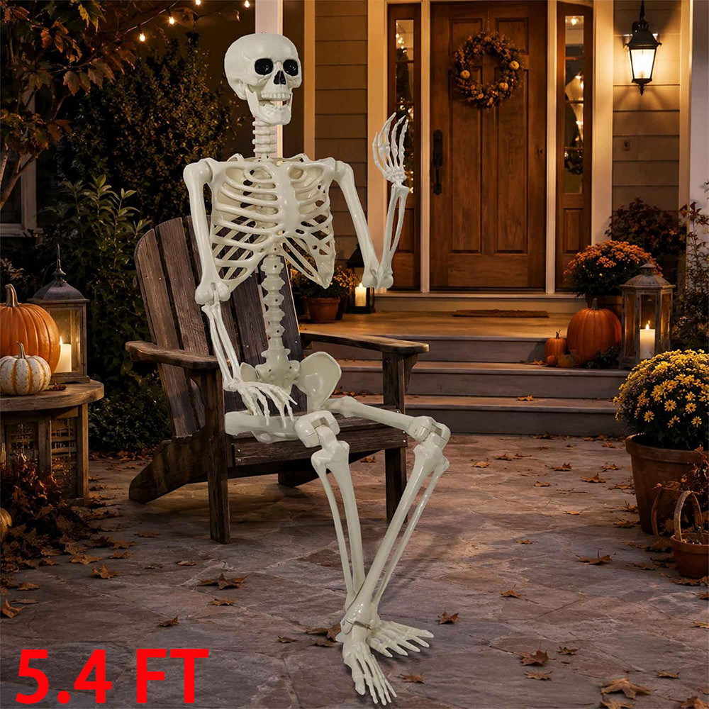 5.4ft Halloween Skeleton Full Body Life Size Skeleton Bones with Movable Joints