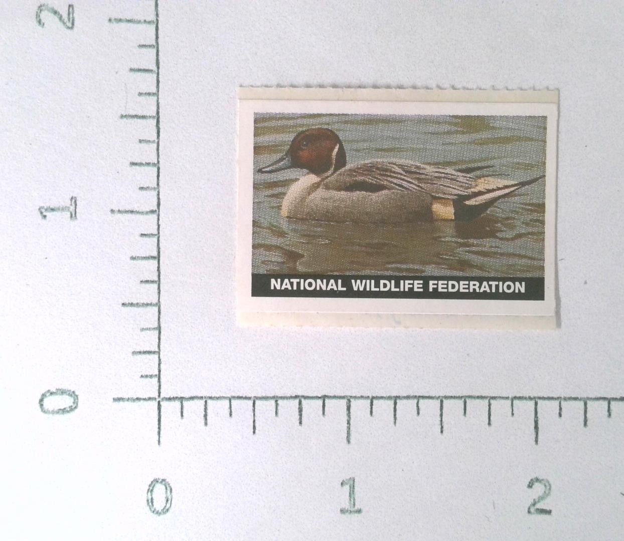 Vintage National Wildlife Federation Duck Graphic Advertising Sticker Decal