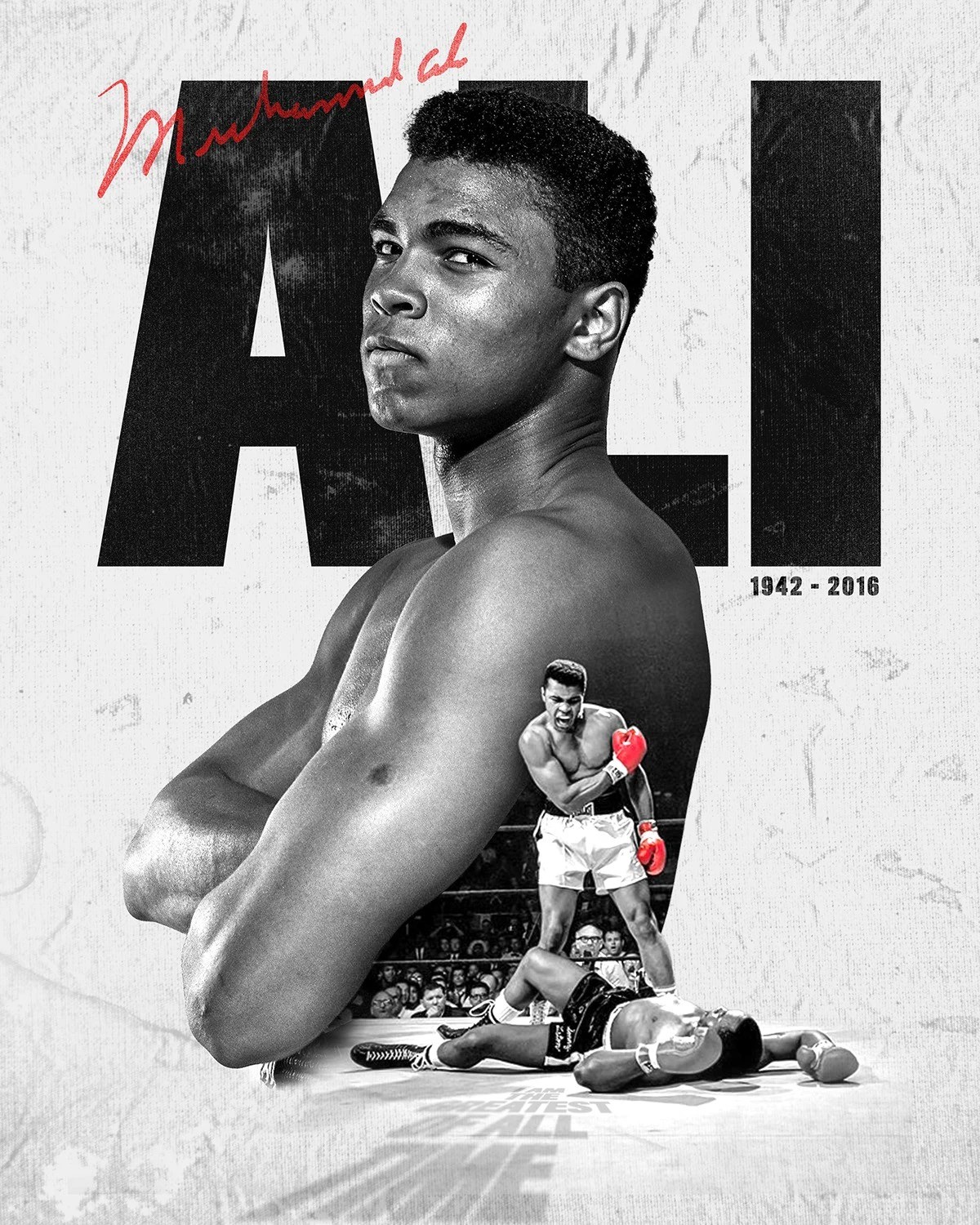 Muhammad Ali Boxing Champion Portrait Tribute 1942-2016 Photo Reprint