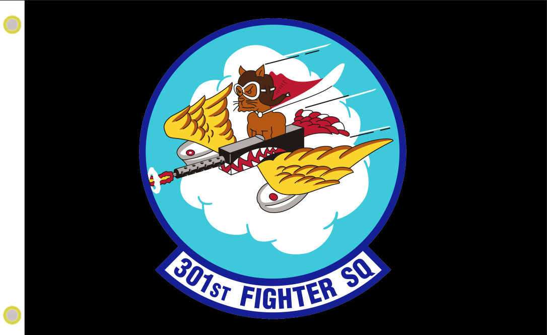 USAF 301st Fighter Training Squadron \
