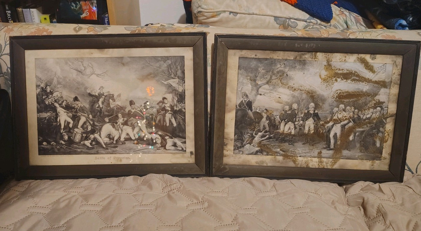 Surrender of General Burgoyne And Battle Of Princeton