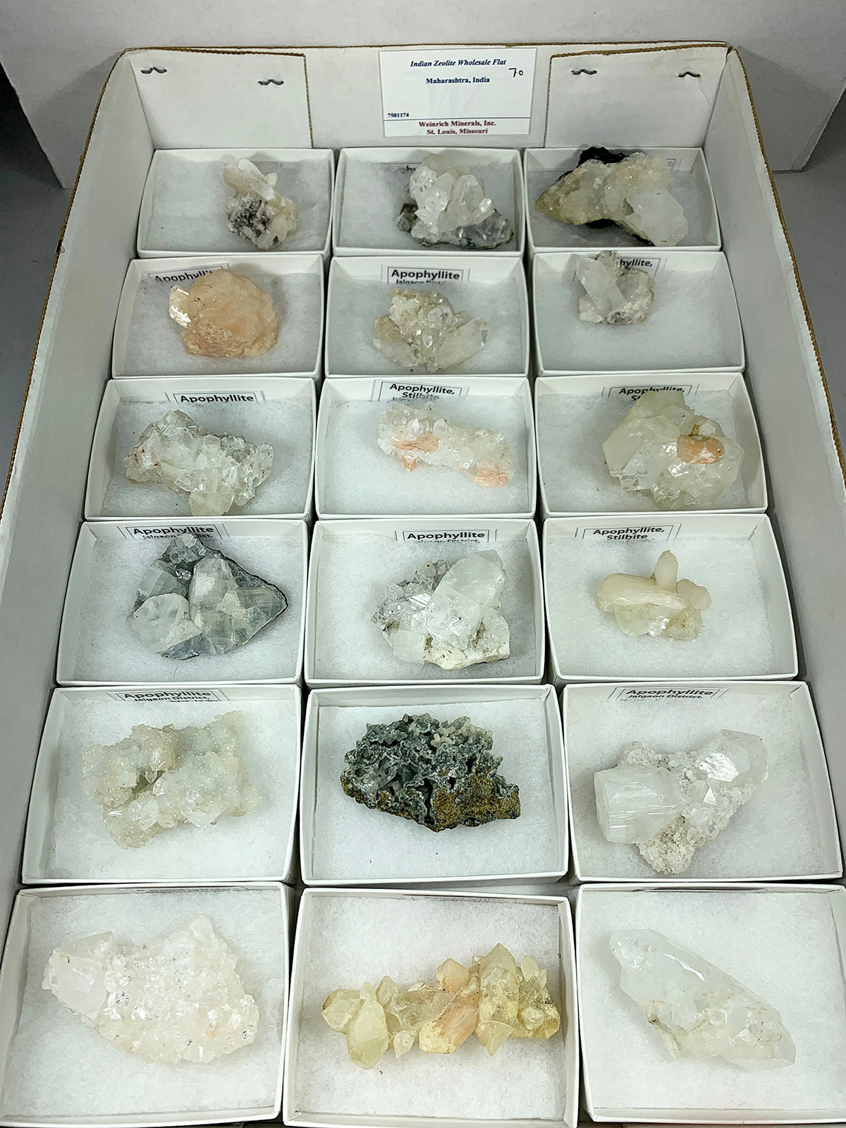 Natural Apophyllite Wholesale Lots Stones - Great for Resale