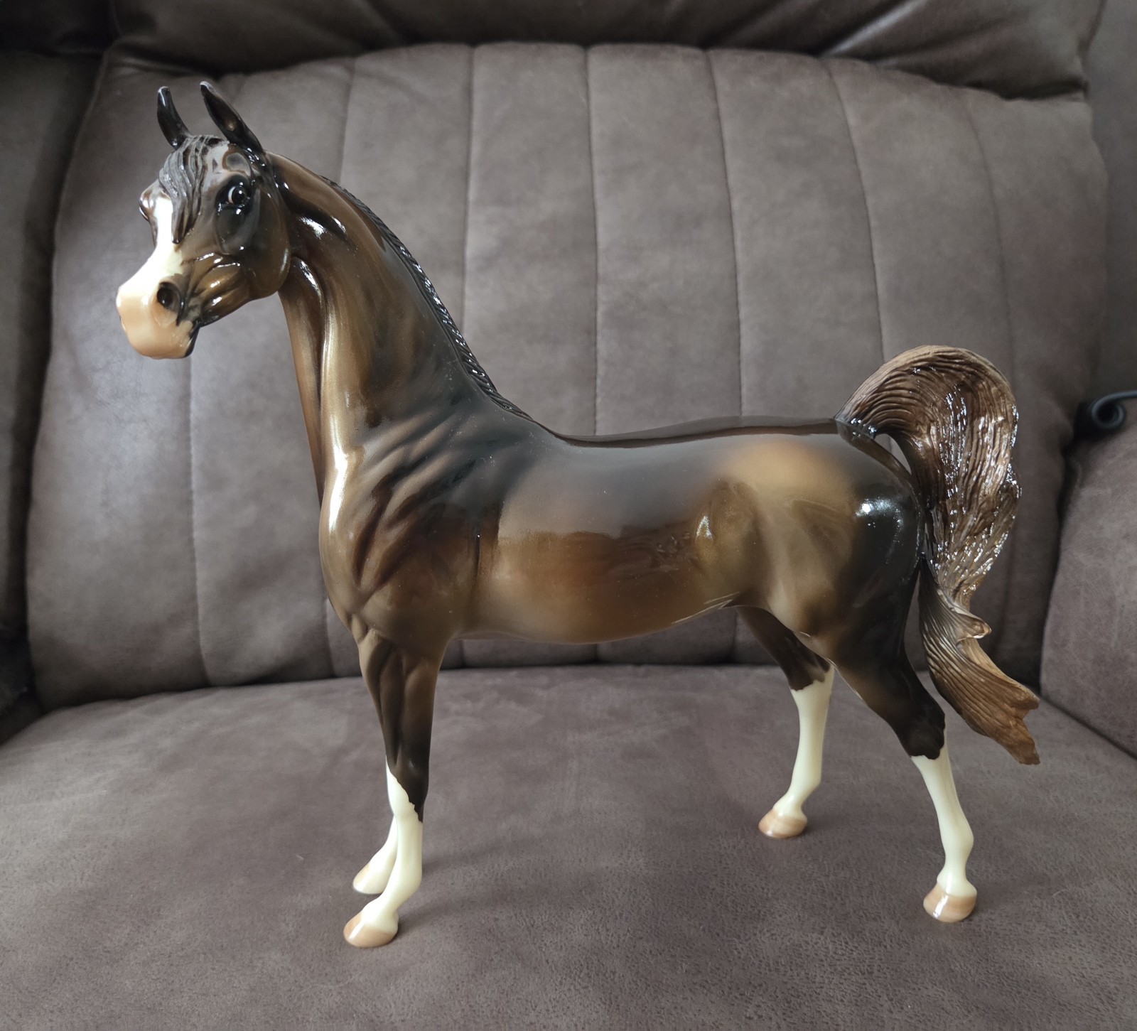 Cody 2008 Glossy Golden Bay Arabian