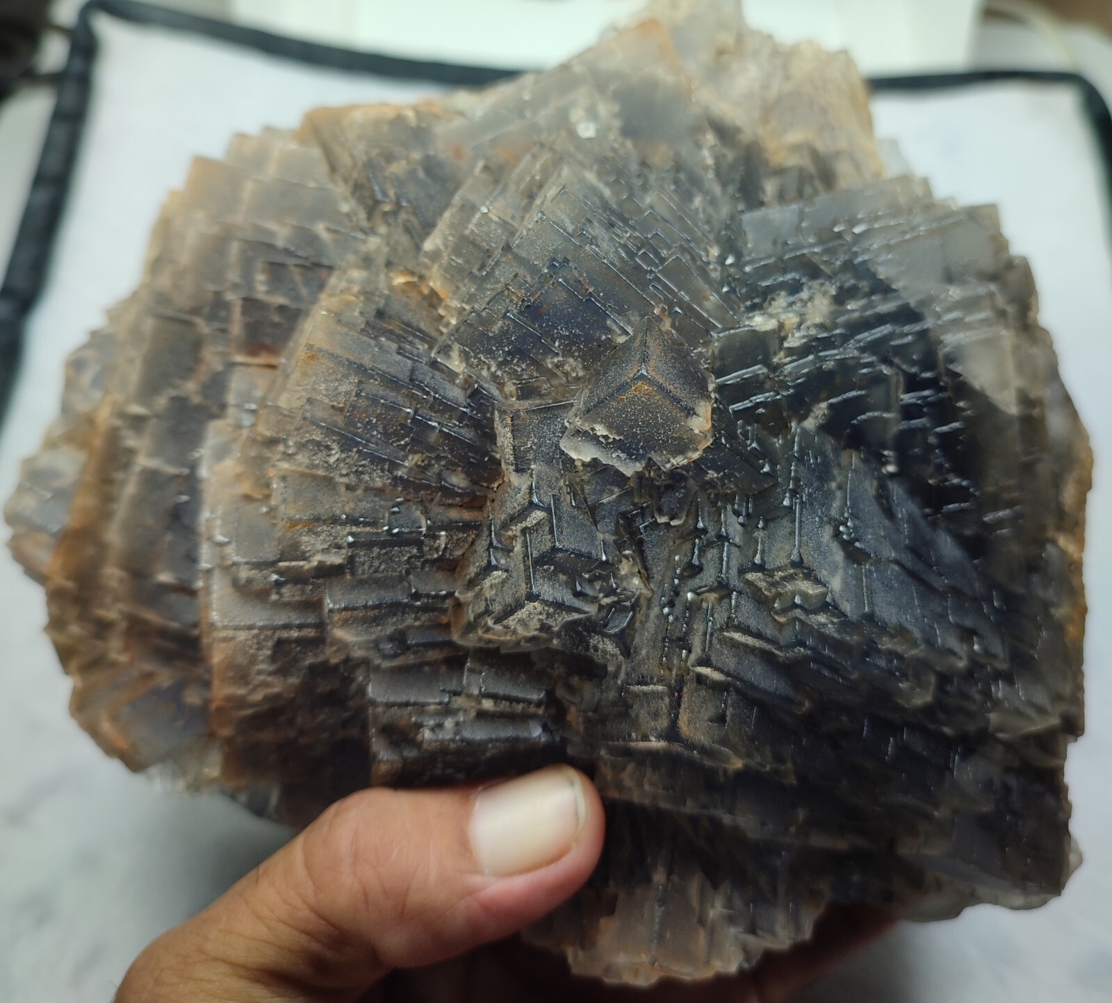 Large Museum grade step growth deep blue Flourite spec._ Kharan,Balochistan,pak