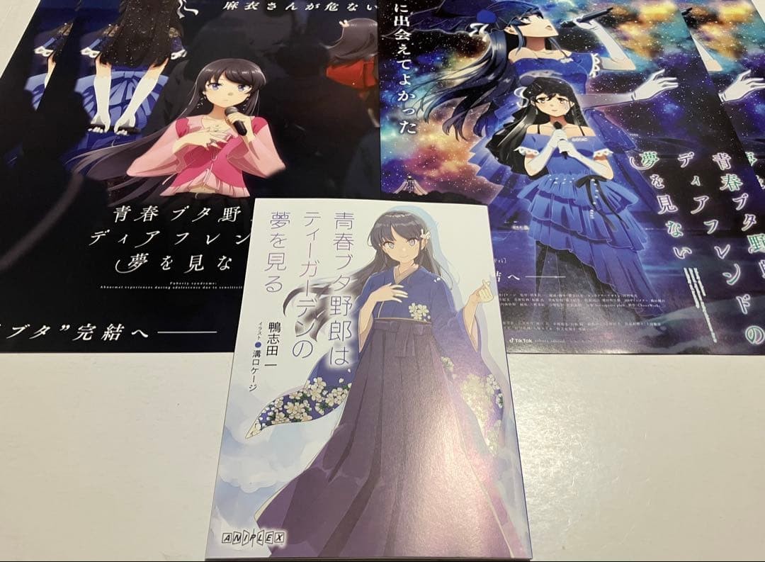 Rascal Does Not Dream of a Dear Friend Movie Bonus Book & 2 POSTERS Set of 3