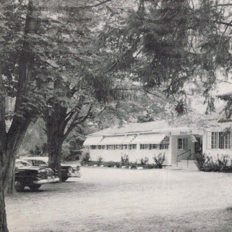 Vintage 1959 Springside Inn Route 38 Owasco Lake New York Postcard