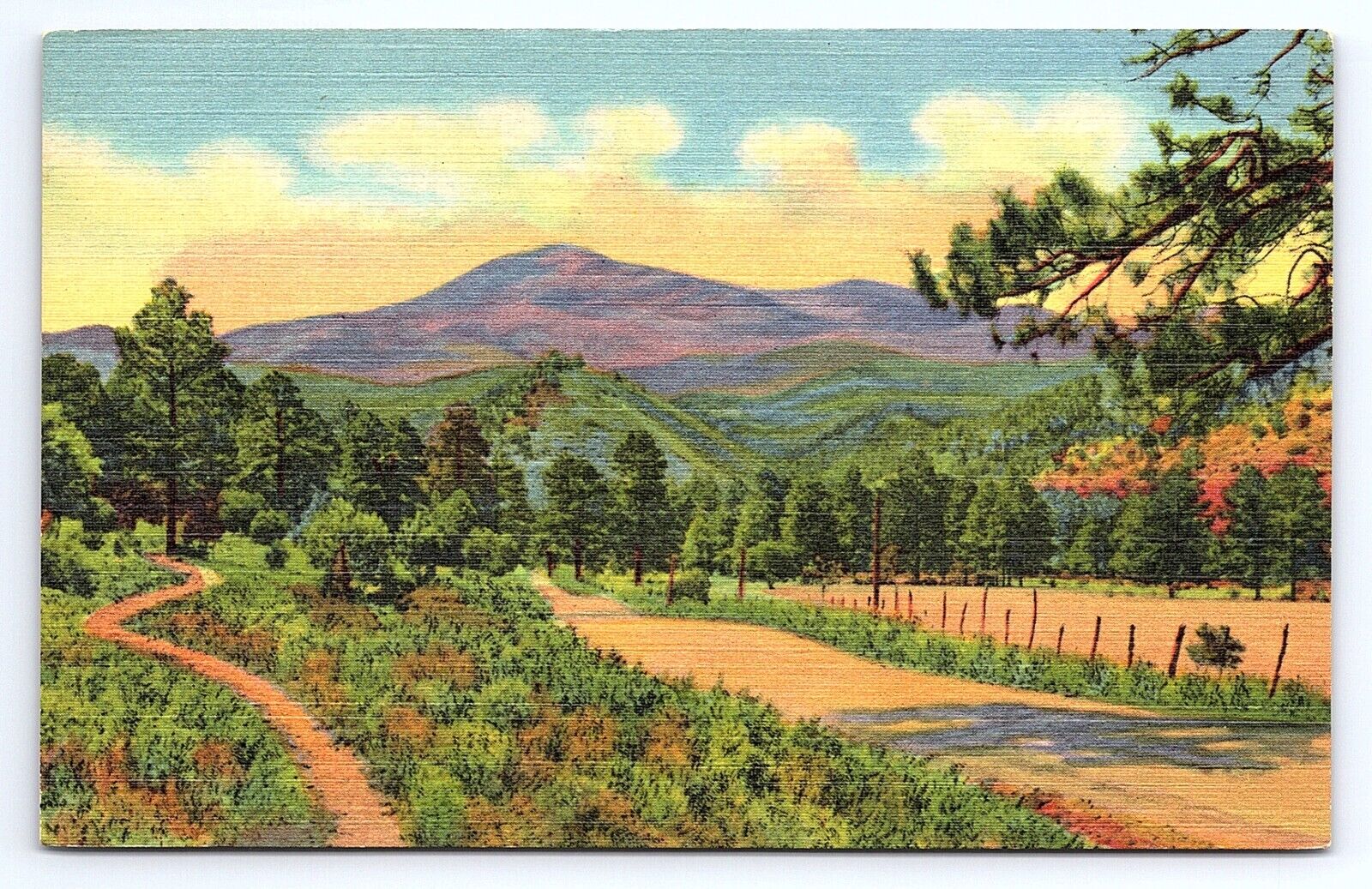 Postcard White Mountain Sierra Blanca New Mexico Ruidoso Highway
