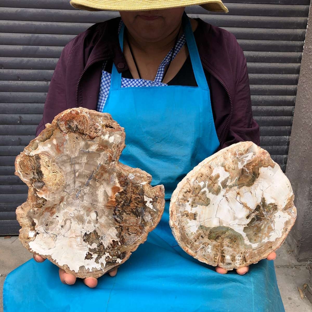2pcs 6.86 LB Natural Petrified Wood Crystal Fossil Slice Crystal Specimen 6192