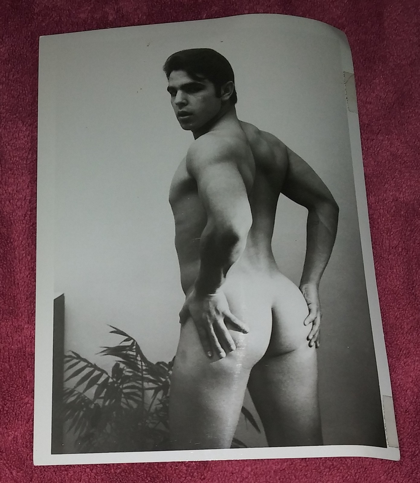 VINTAGE GAY- MUSCULAR- MALE MODEL- REAR VIEW PHOTO GAY INTEREST NICE VINTAGE GAY- MUSCULAR- MALE MODEL- REAR VIEW PHOTO GAY INTEREST NICE