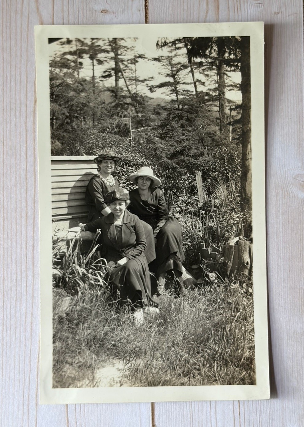Vintage Snapshot Photo 3 Lovely Women Posing On Bench In Wooded Area Garden