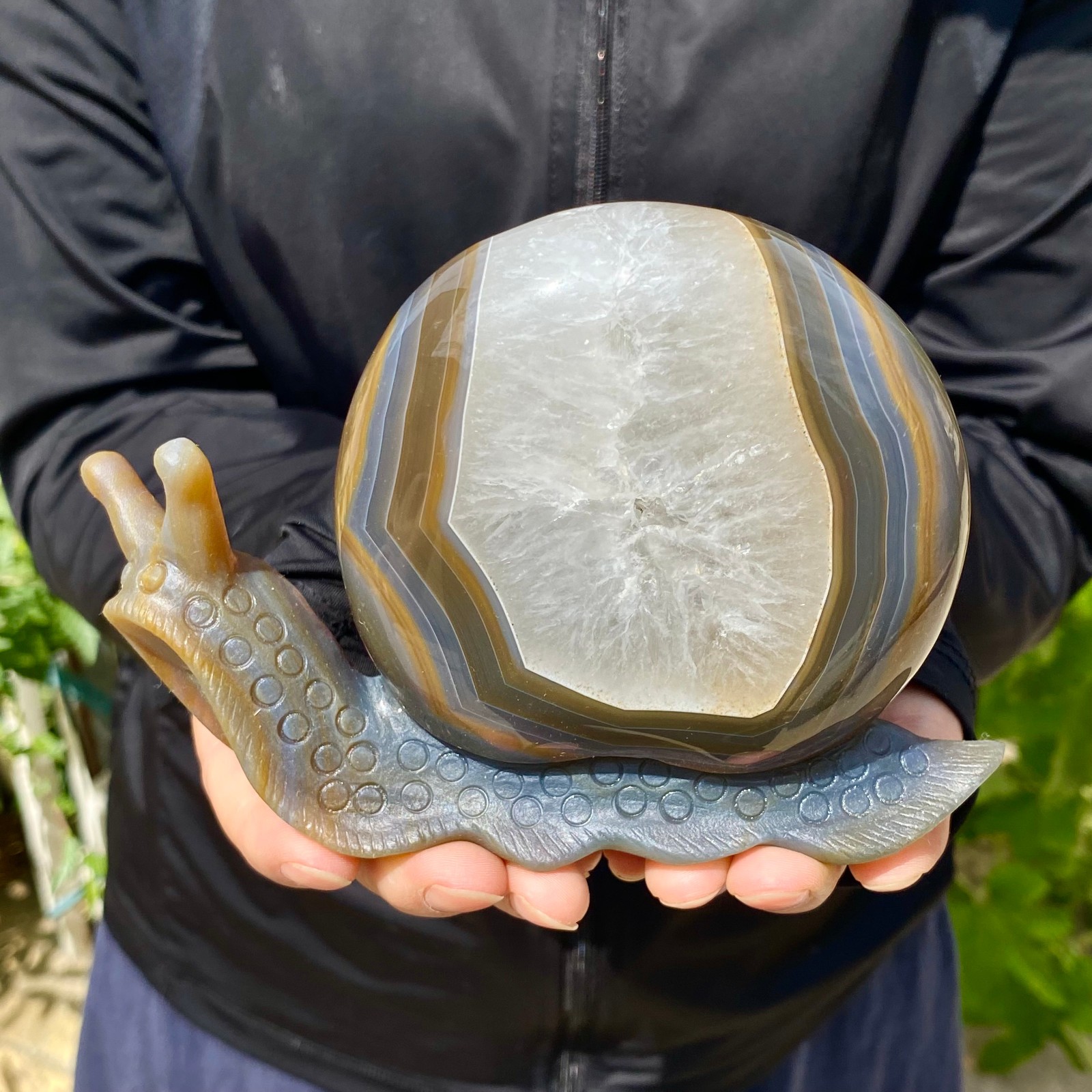 1.76LB Natural agate geode quartz crystal engrave snail skull healing gift decor