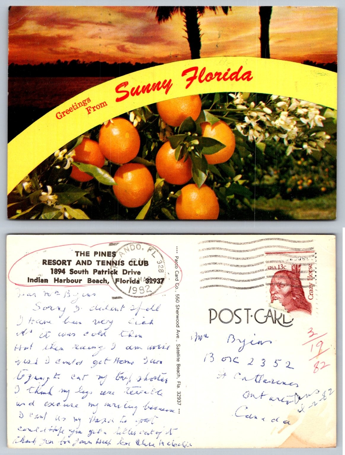 1982 Sunny Florida Oranges Palm Trees Sunset Indian Harbour Beach Postcard 1982 Sunny Florida Oranges Palm Trees Sunset Indian Harbour Beach Postcard