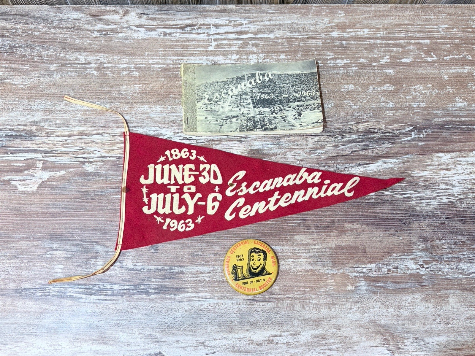 Rare Escanaba Michigan Centennial Pennant 100 Years Book & Pin