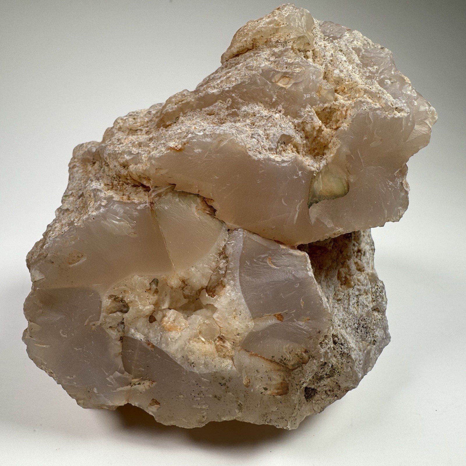 Paulina Agate Limb Cast Cripple Creek OR Pink Chalcedony Petrified Wood