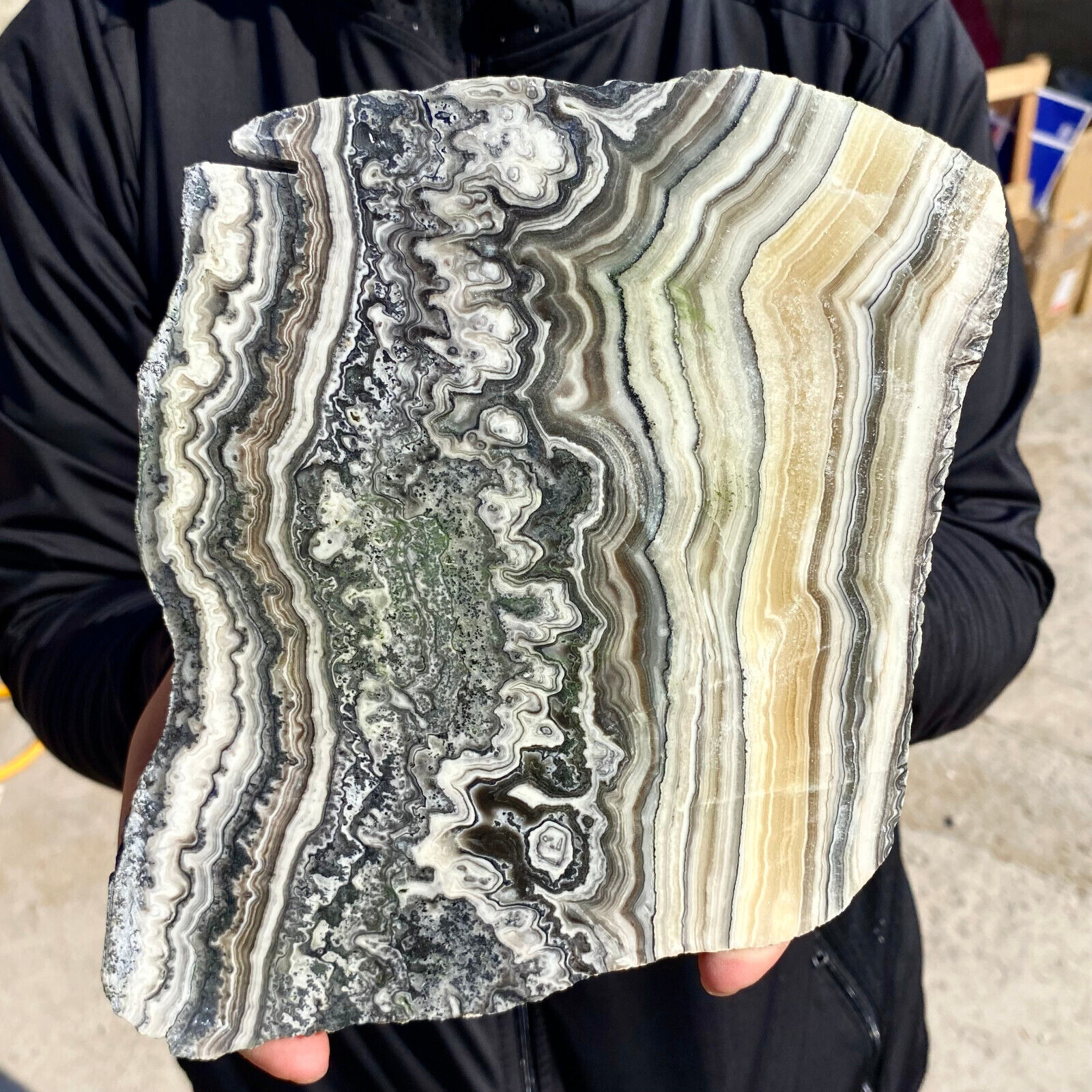 1.7LB Natural banding zebra calcite quartz polished slab crystal reiki healing