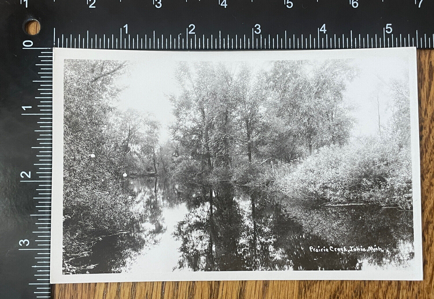 Vintage Postcard Real Photo Prairie Creek Ionia County Michigan Black & White