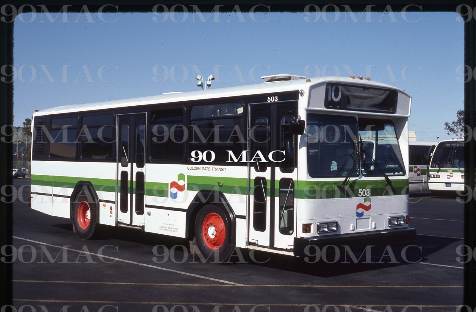 GGT-GOLDEN GATE TRANSIT. GILLIG BUS #503. San Rafael (CA). Original Slide 1986. 