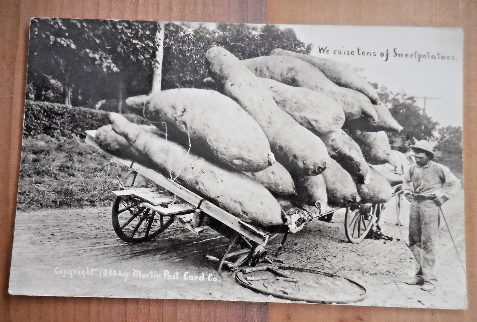Martin Exaggeration 1910 Real Photo Postcard RPPC - Sweet Potatoes on Wagon