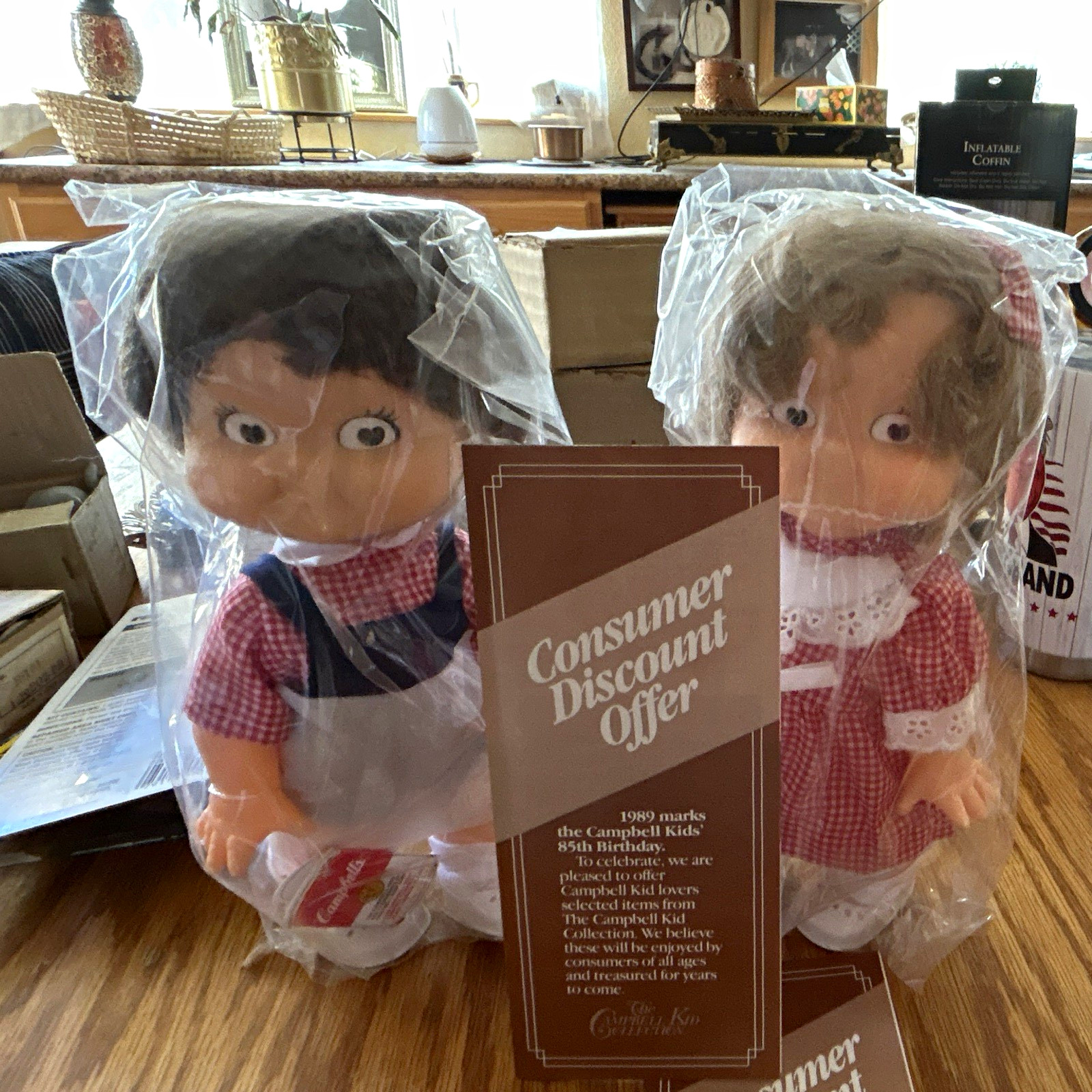 New in box Campbell  Soup Kids 1989 ( 85th anniversary) Boy & Girl Dolls (2)