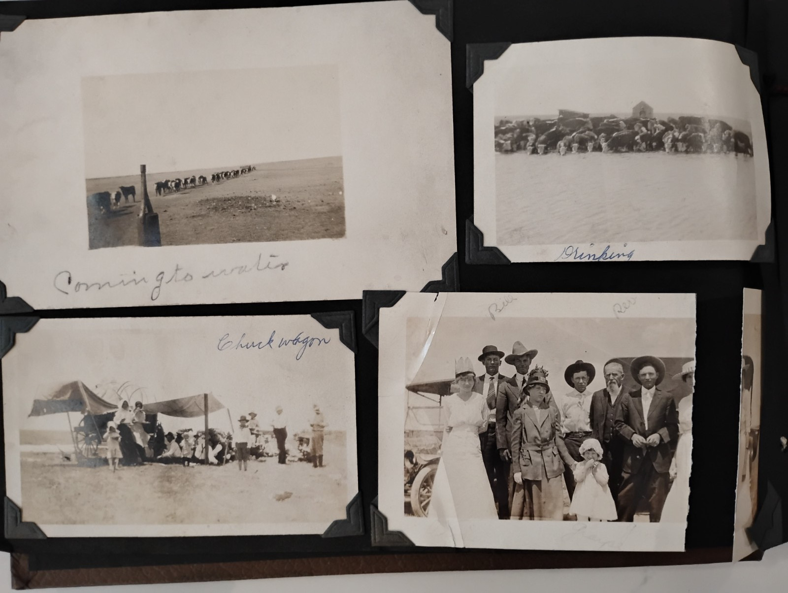 Antique 1914 Photo Album 72 Amazing Vintage Texas Prairie Images RPPC's & Photos