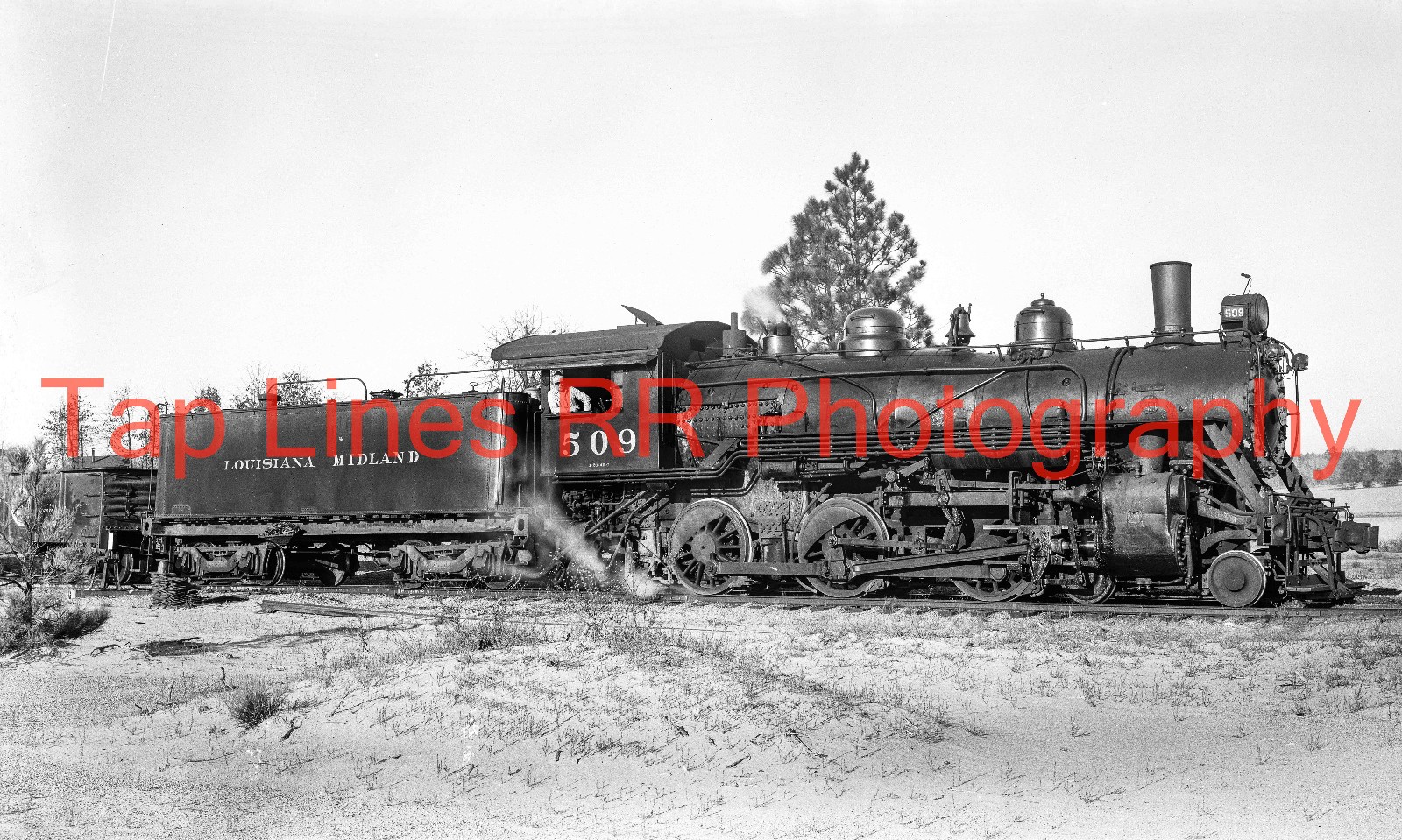 Louisiana Midland Ry #509 Woodworth LA 12-1954  Bill Witbeck New 5x8 Photo