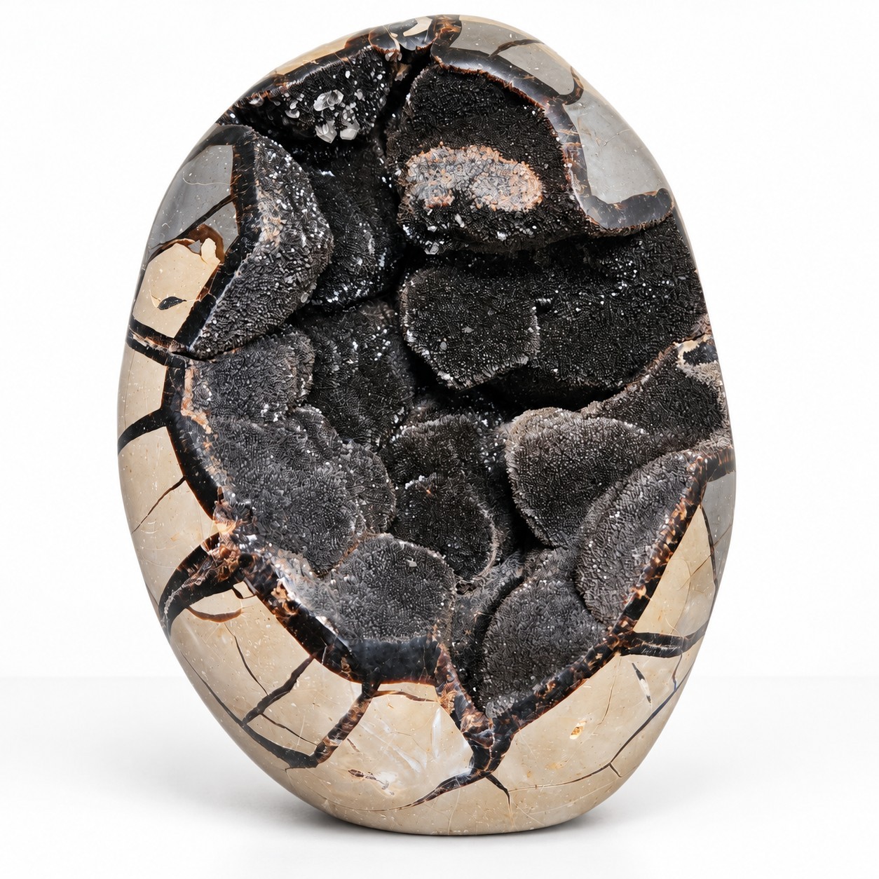 Large Natural Septarian Stone Geode - 8\